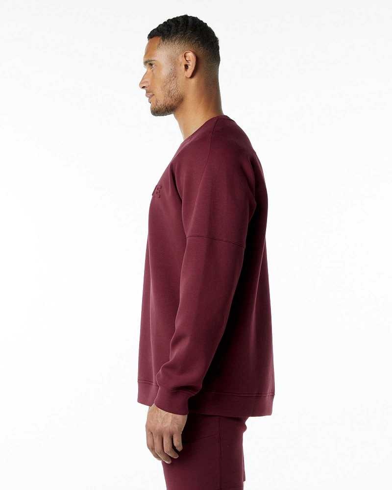 Pánské Svetr Alphalete ELMTS Crewneck Červené | CZ-736105