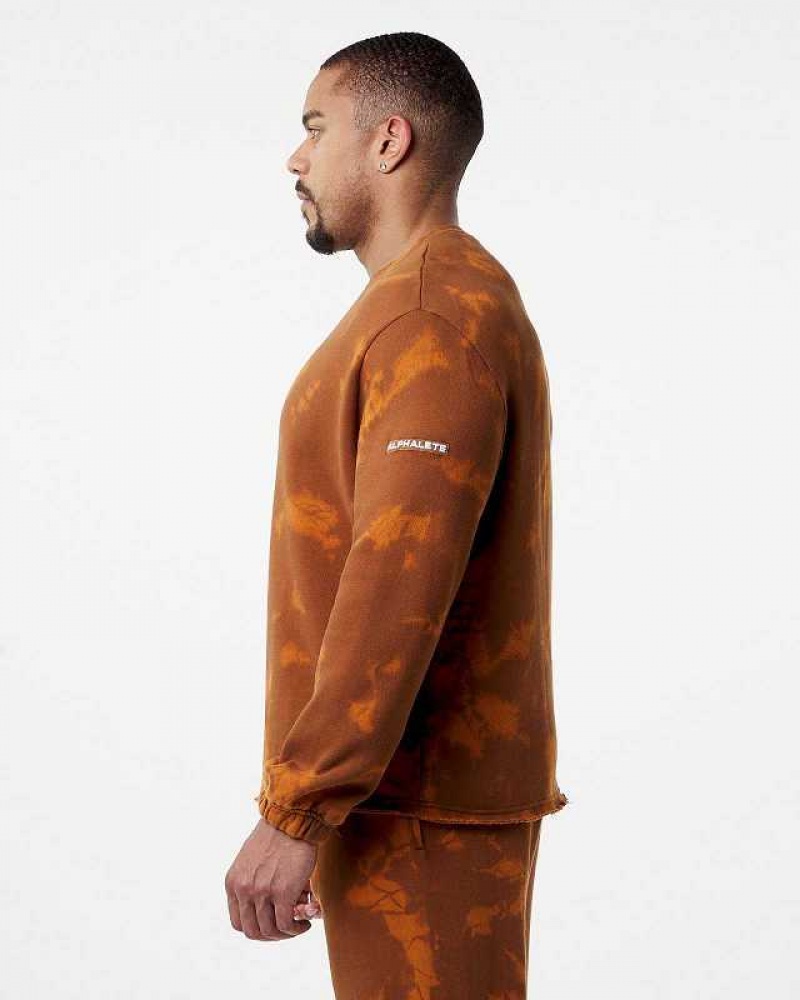 Pánské Svetr Alphalete HCTS Drop Shoulder Hnědé | CZ-954378