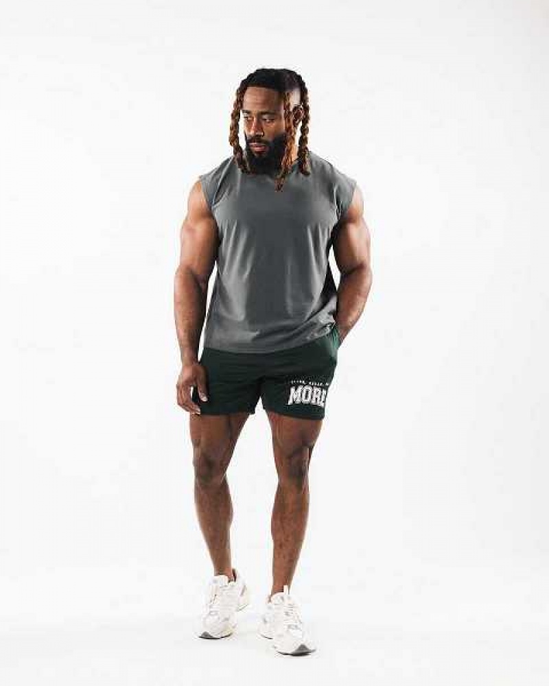 Pánské Tílko Alphalete Brushed Wolf Head Muscle Šedé | CZ-432860