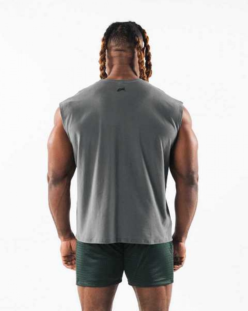 Pánské Tílko Alphalete Brushed Wolf Head Muscle Šedé | CZ-432860