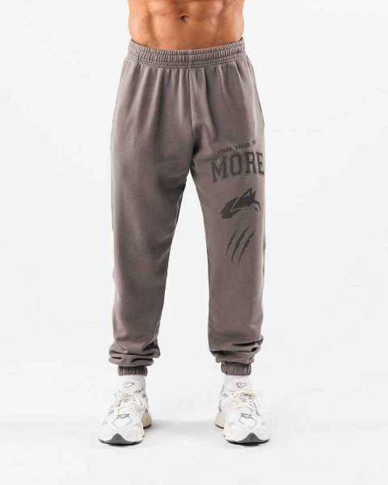 Unisex Kalhoty Jogger Alphalete Earth Dye Grafická Šedé | CZ-387926