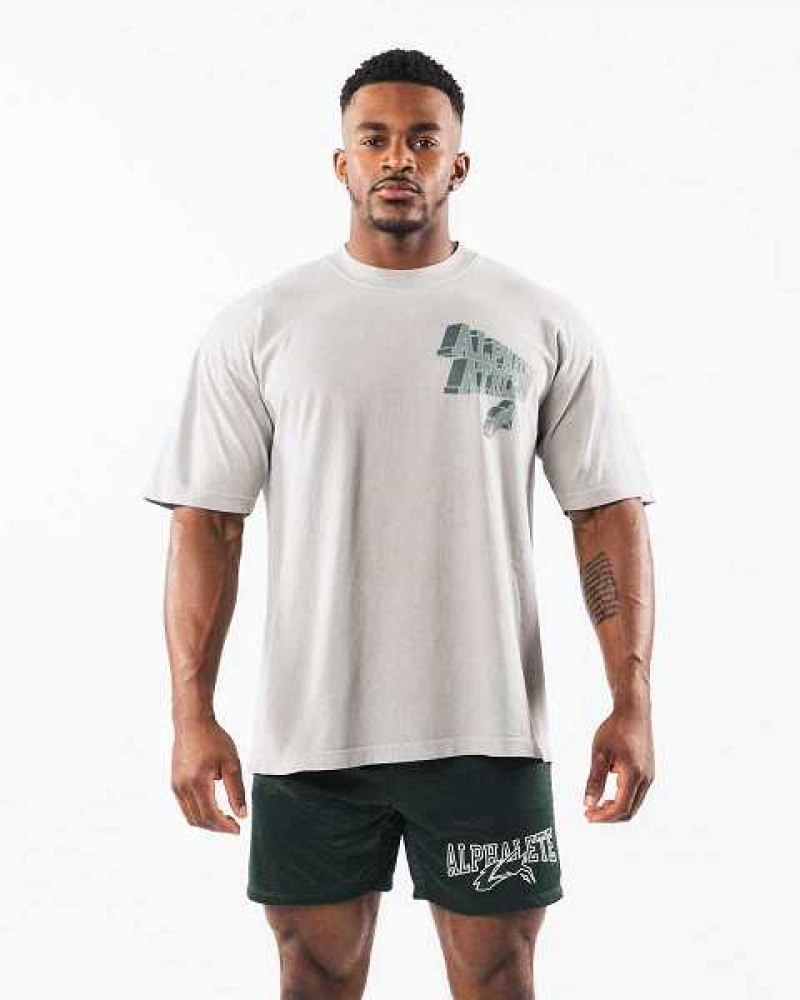 Unisex Košile S Krátkým Rukávem Alphalete Dimensional Šedé | CZ-305781