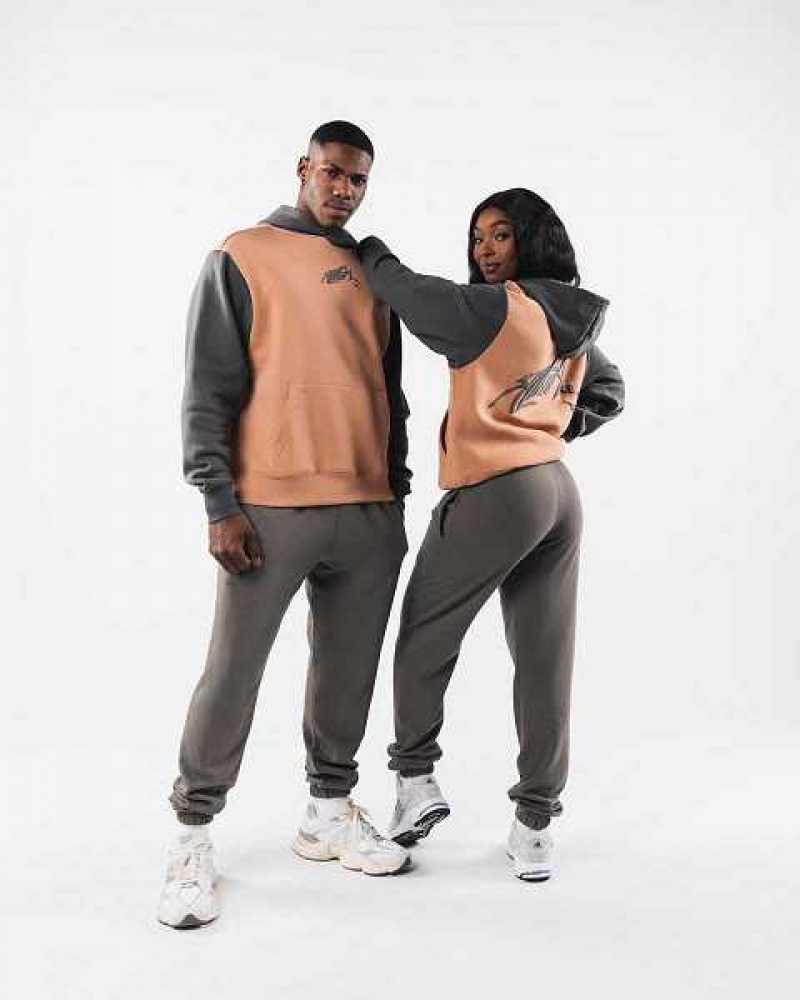 Unisex Mikina s Kapucí Alphalete Stencil Hnědé | CZ-071836