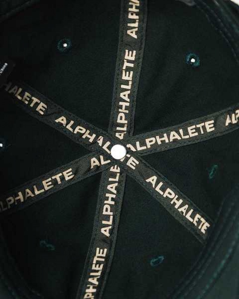 Unisex Čepice Alphalete Collegiate Vintage Zelene | CZ-962704